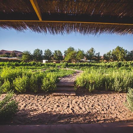 Eco-Lodge El Andinista San Pedro de Atacama Exterior foto