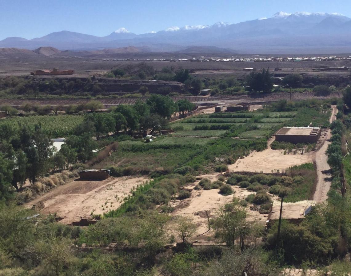 Eco-Lodge El Andinista San Pedro de Atacama Exterior foto
