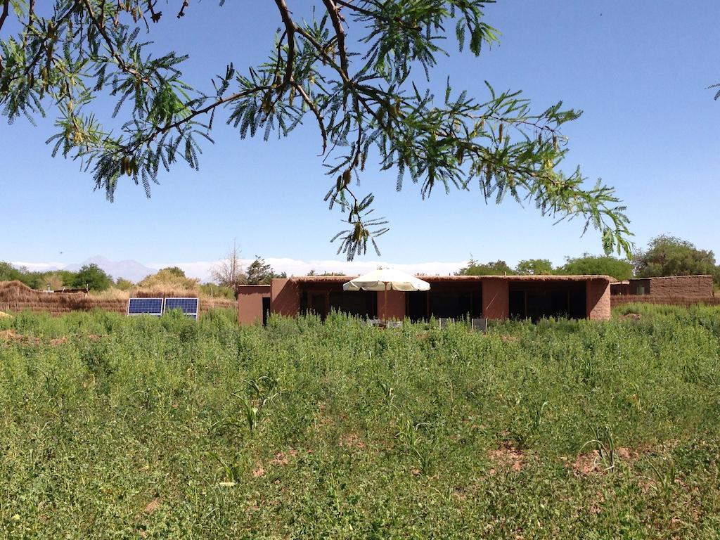 Eco-Lodge El Andinista San Pedro de Atacama Exterior foto